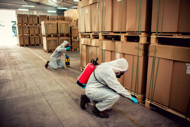 Best Pest Prevention Services  in Hawthorne, FL