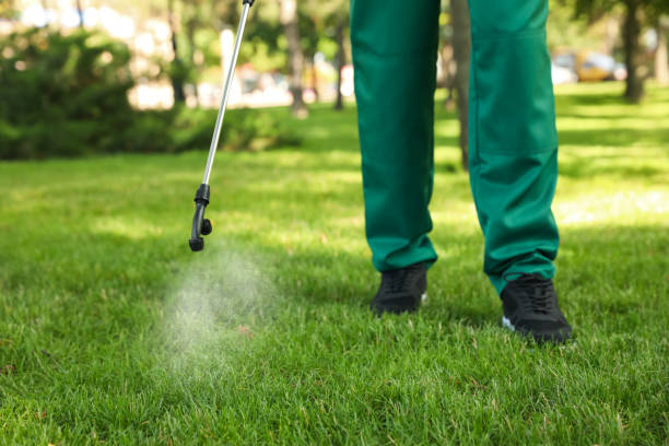 Best Pest Inspection Near Me  in Hawthorne, FL