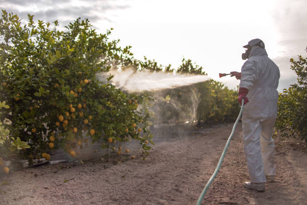 Best Best Pest Control Companies  in Hawthorne, FL