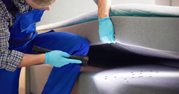 Best Local Pest Control Services  in Hawthorne, FL