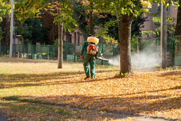 Best Insect Control  in Hawthorne, FL